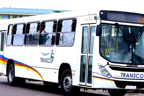 Bus Transco