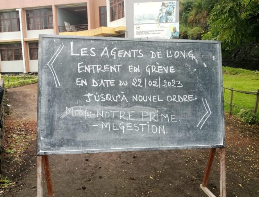 Photo d'illustration 