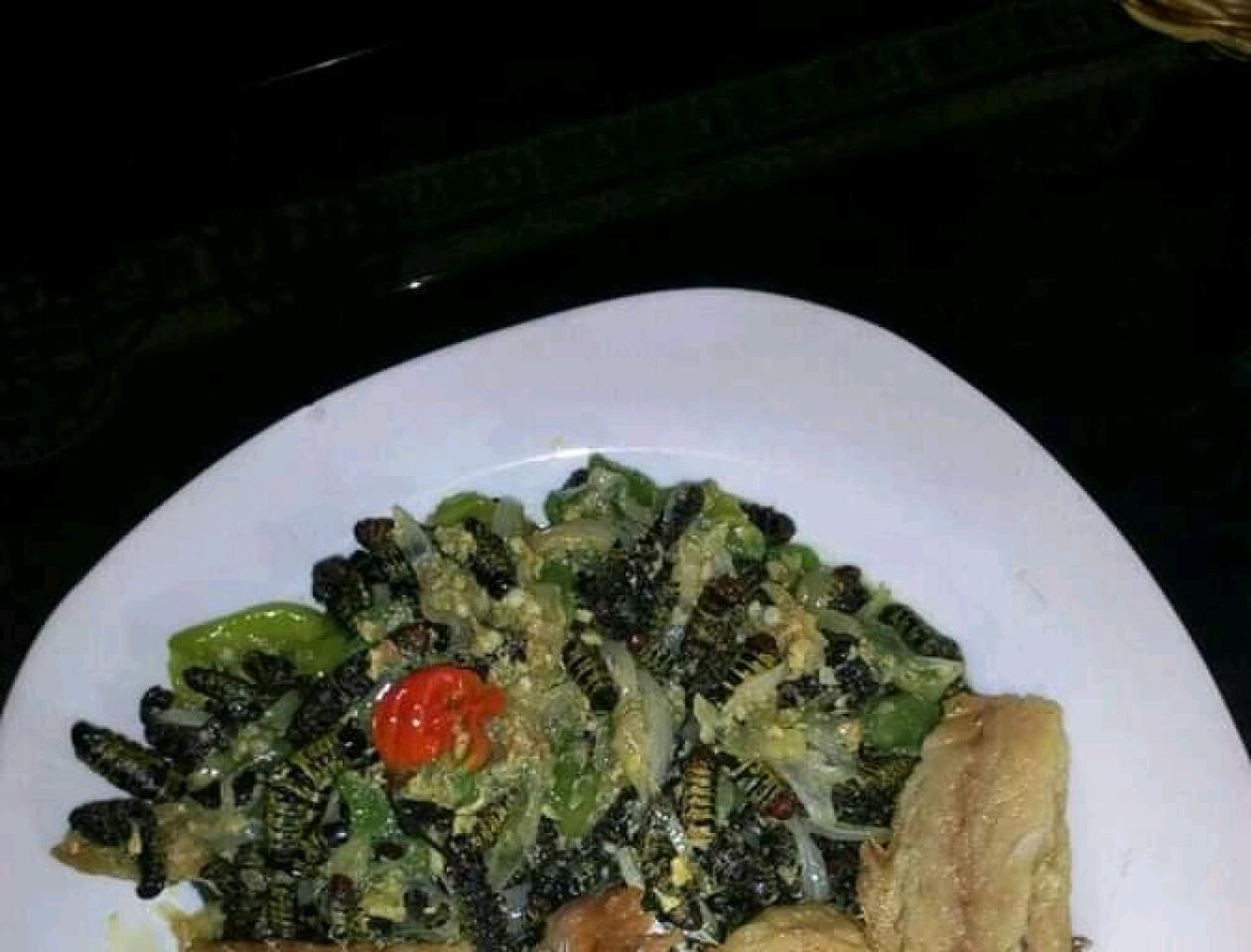 chenille et poisson salé