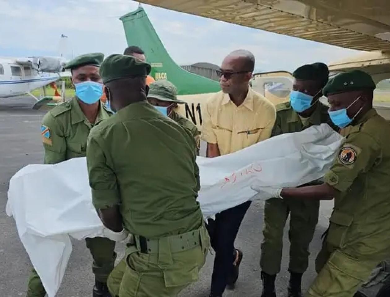 Les écogardes du parc de Virunga tués 