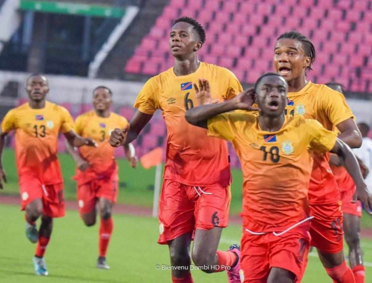 Les leopards de la Rdc