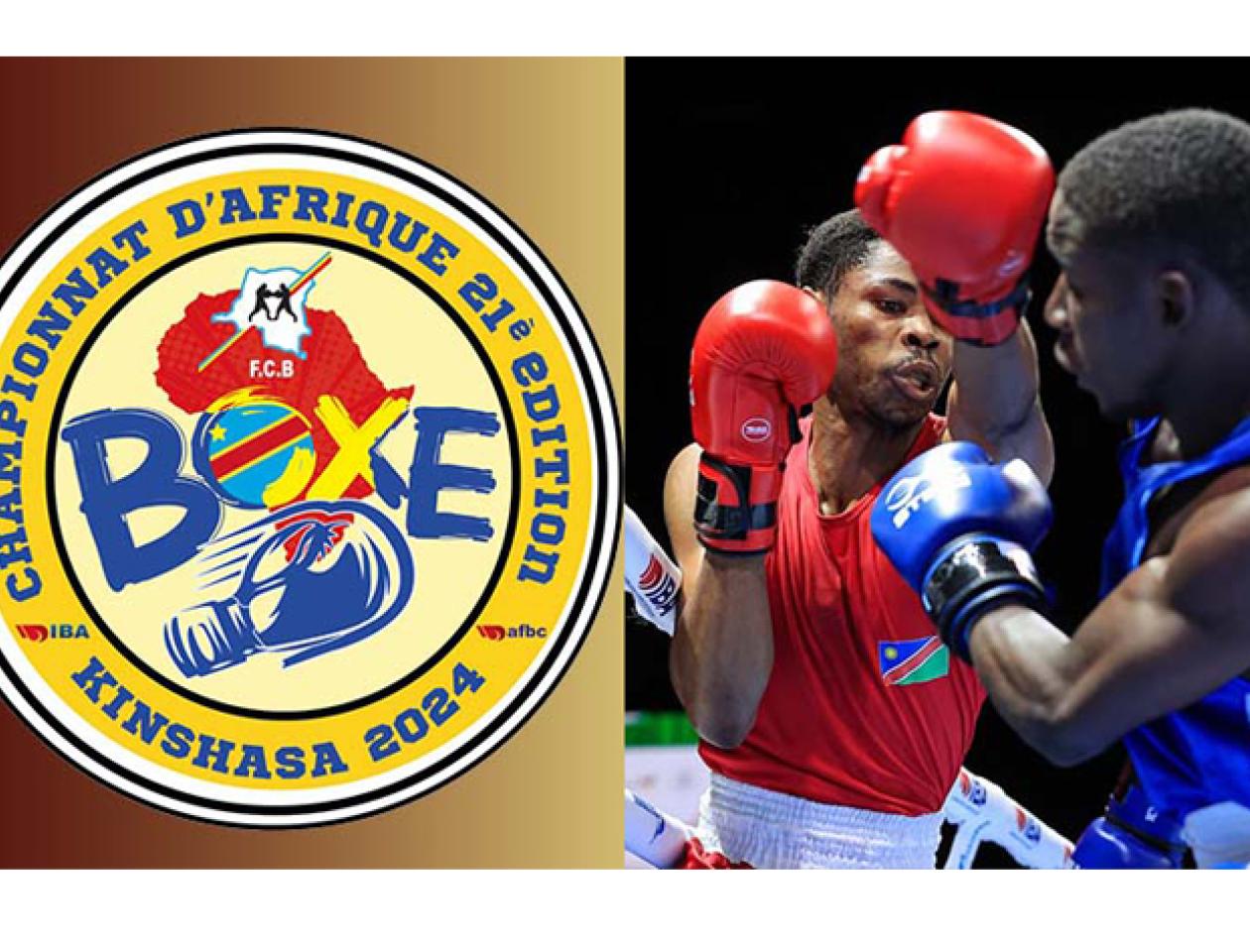 Championnat d'Afrique de boxe
