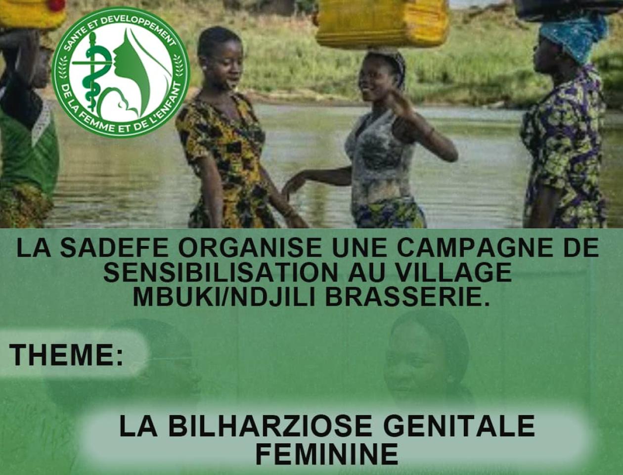 Affiche de la structure de santé et développement de la femme et de l'enfant (SADEFE)